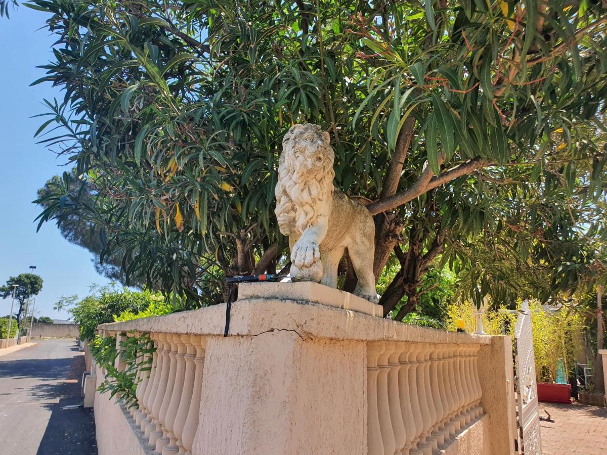 Villa Les Palmiers -Stretta Di I Mandarini Lucciana  Dış mekan fotoğraf