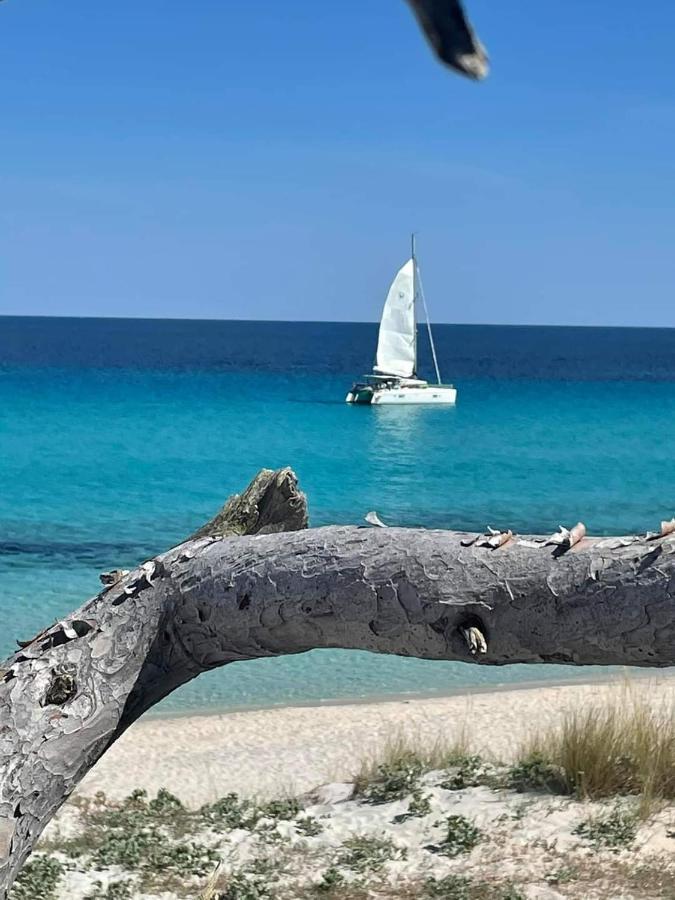 Villa Les Palmiers -Stretta Di I Mandarini Lucciana  Dış mekan fotoğraf