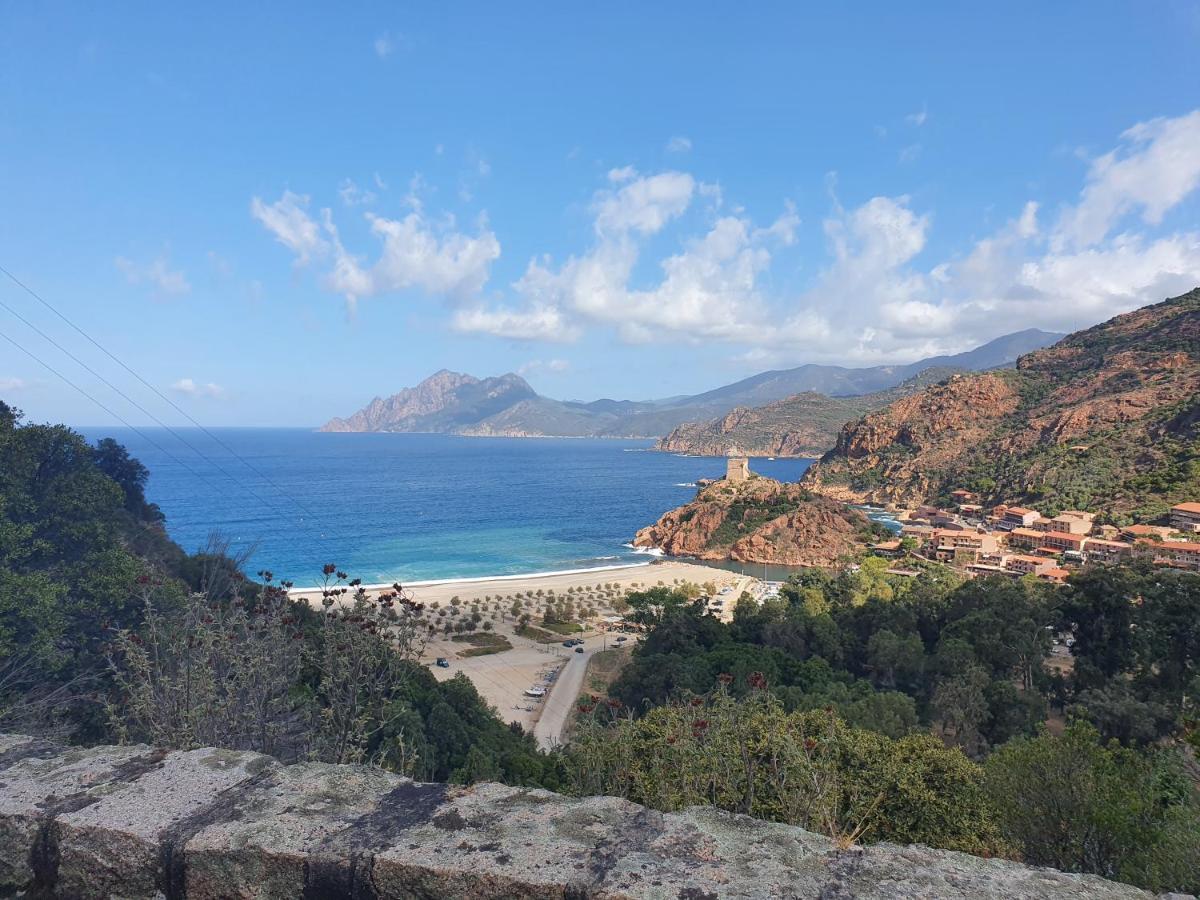 Villa Les Palmiers -Stretta Di I Mandarini Lucciana  Dış mekan fotoğraf