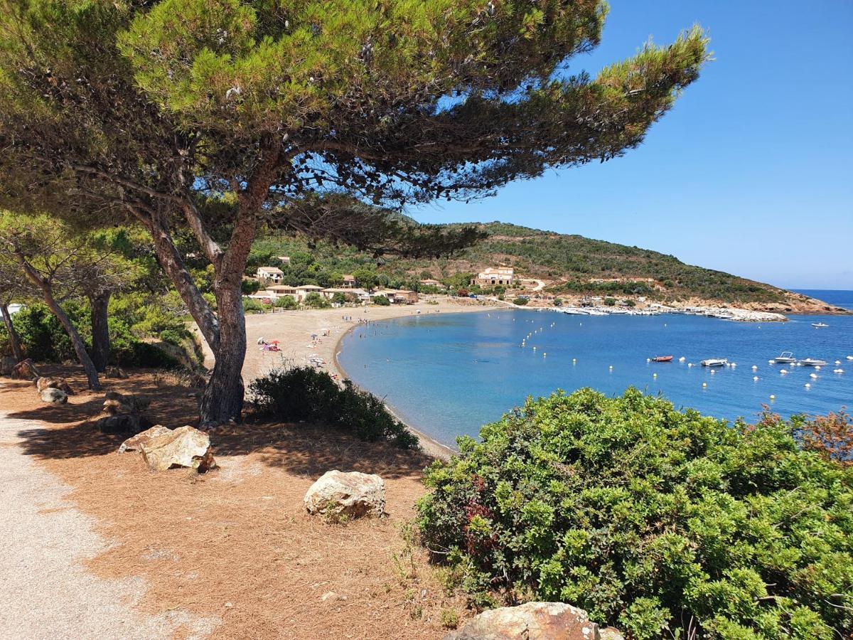 Villa Les Palmiers -Stretta Di I Mandarini Lucciana  Dış mekan fotoğraf
