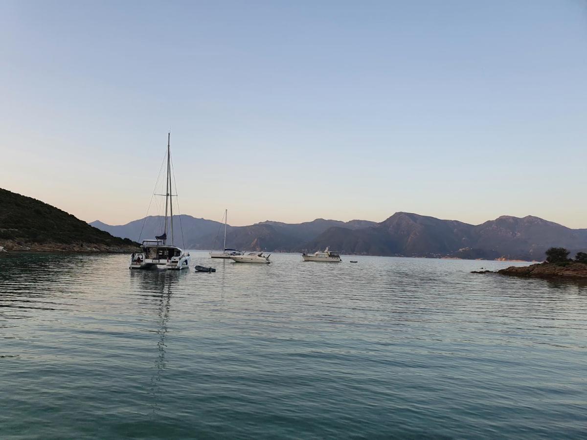 Villa Les Palmiers -Stretta Di I Mandarini Lucciana  Dış mekan fotoğraf